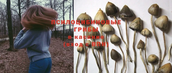 спайс Зеленокумск