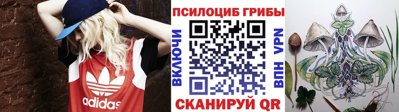 Галлюциногенные грибы Magic Shrooms  Купить закладки  Грязи 