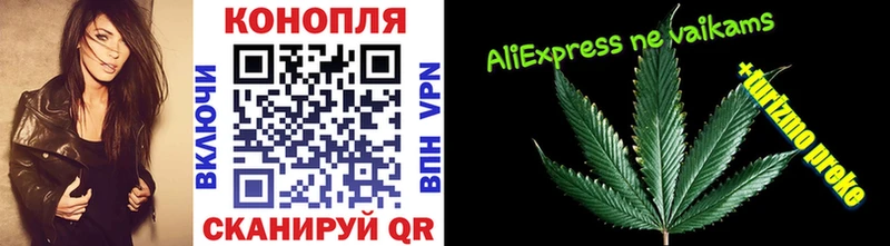 Купить  Грязи  Марихуана ГИДРОПОН 